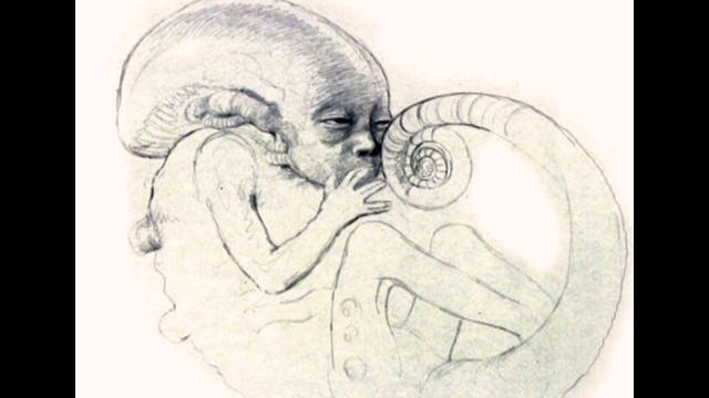 Ripley Impregnated – Alien Foetus