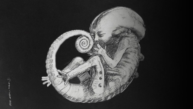 Alien foetus