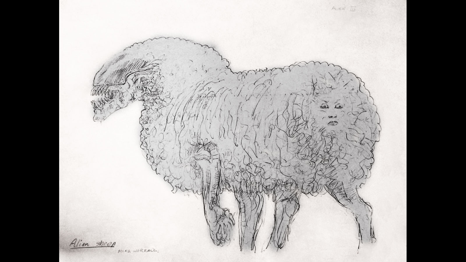 Mutant-sheep.jpg